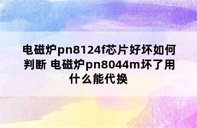 电磁炉pn8124f芯片好坏如何判断 电磁炉pn8044m坏了用什么能代换